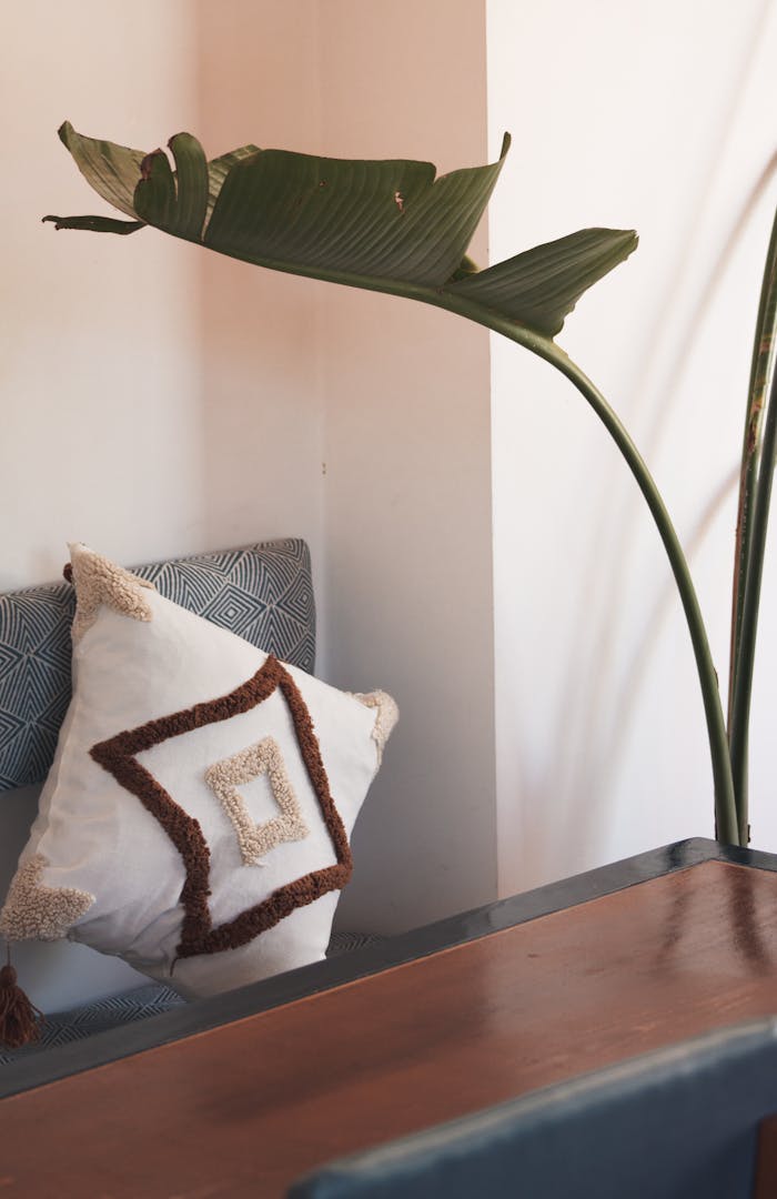 A stylish cozy corner featuring a decorative pillow and green plant adding a touch of nature indoors.